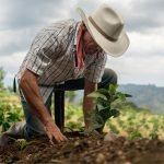 iFinca, ¡el productor va primero!