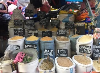 De la gran traición a la madre tierra al doloroso camino de la reconciliación con la Naturaleza