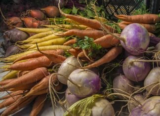 De la diversificación agropecuaria a la complementariedad productiva