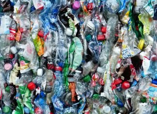 El problema del plástico