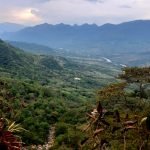 Organizaciones socioambientales envían alerta temprana y solicitud de diálogo a la Junta Provincial Cartama