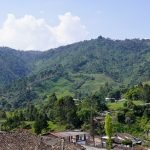 Semana por la Paz 2020: Suroeste porque te amo, te cuido