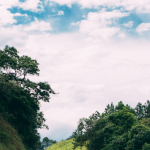 Las vidas se salvan con oportunidades