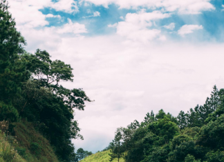 Las vidas se salvan con oportunidades