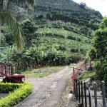 Así le damos la bienvenida a los recolectores