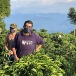 Si no fuera por el café entonces de qué íbamos a vivir