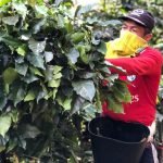 Orgullo que llevo en la sangre