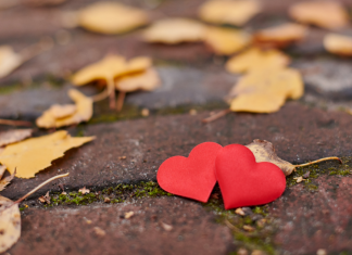 Un nexo noble y perdurable: la amistad