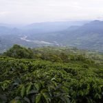 Somos andariegos y nos gusta coger el cafecito