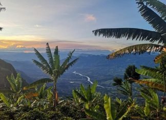 ¿Quién devolverá al Suroeste el agua, sus recursos naturales y la salud después de la mega minería de metales?