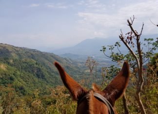 Semana por el Futuro del Suroeste