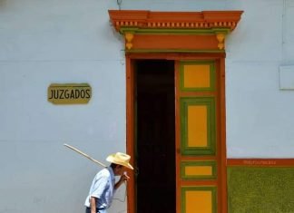 Gobierno central desconoce los principios de concurrencia y autonomía en el Decreto 1232 de 2020