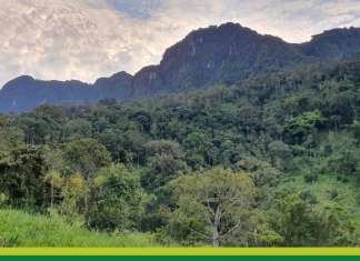 Imposición Incomprensible