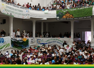 Democracia representativa o intereses privados