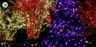 Continúa aislamiento selectivo hasta el 16 de enero de 2021