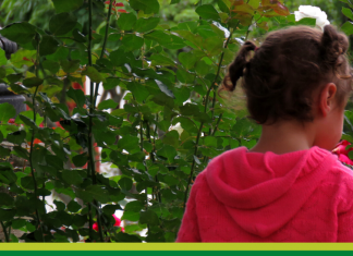 Nuestro primer alimento