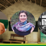 Reflexiones sobre la educación: de las aulas a la sociedad