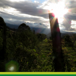 Comisión de la Verdad ha recibido cinco informes sobre el conflicto armado en el Suroeste de Antioquia