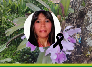 Dolly Angélica Ortiz Trujillo, una maestra con vocación y sentido de pertenencia en su oficio