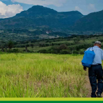 ¿Qué es un abuelo, abuela?