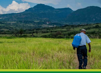 ¿Qué es un abuelo, abuela?