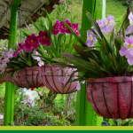 Mis años en San Gregorio: El nido familiar