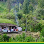 El río de los villancicos