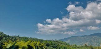 La vida no se detiene ante la amenaza de la muerte