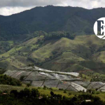 Zona de subsidencia en el proyecto Quebradona