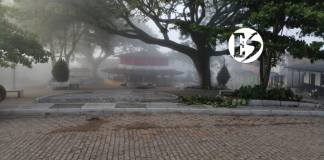 Mis años en San Gregorio – El rostro avieso de la muerte