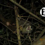 ¿Cómo sabemos qué especies hacen parte de nuestro proyecto?