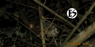 ¿Cómo sabemos qué especies hacen parte de nuestro proyecto?