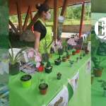Vivero Flor de Lirio, un sueño hecho realidad
