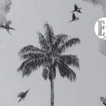 Somos una especie más que debe adaptarse y mitigar los efectos de la crisis climática