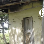 Mis años en San Gregorio – Violencia y política