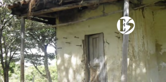 Mis años en San Gregorio – Violencia y política