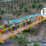 Nuevo puente en Ciudad Bolívar