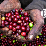 Así avanza el Plan Cosecha en el Suroeste