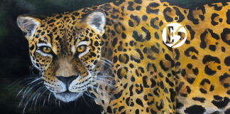 El cambio climático es un problema de todos