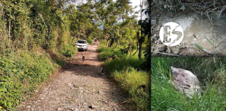 La ANLA ordena a Covipacífico mitigar afectaciones ambientales en Camilo C