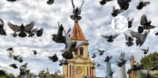 Asesinaron a un hombre en un bus con destino a Urrao