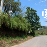 Estado de las vías en el Suroeste para este puente festivo Estado de las vías en el Suroeste para este puente festivo