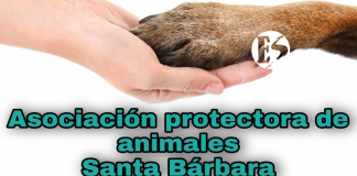 El albergue Ángeles de Santa Bárbara necesita tu ayuda