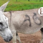 Los atentados del paro armado en el Suroeste