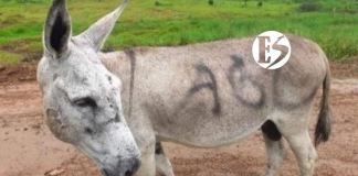 Los atentados del paro armado en el Suroeste