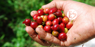 7° Concurso Nacional de Calidad Colombia, Tierra de Diversidad 7° Concurso Nacional de Calidad Colombia, Tierra de Diversidad