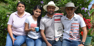 Elecciones cafeteras serán en septiembre En septiembre se realizarán las elecciones cafeteras