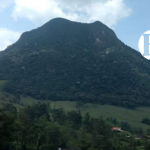 Atraco masivo en Fredonia Atraco masivo en Fredonia