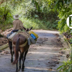 1.300 metros de placa huella fueron entregados en Hispania