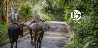 1.300 metros de placa huella fueron entregados en Hispania